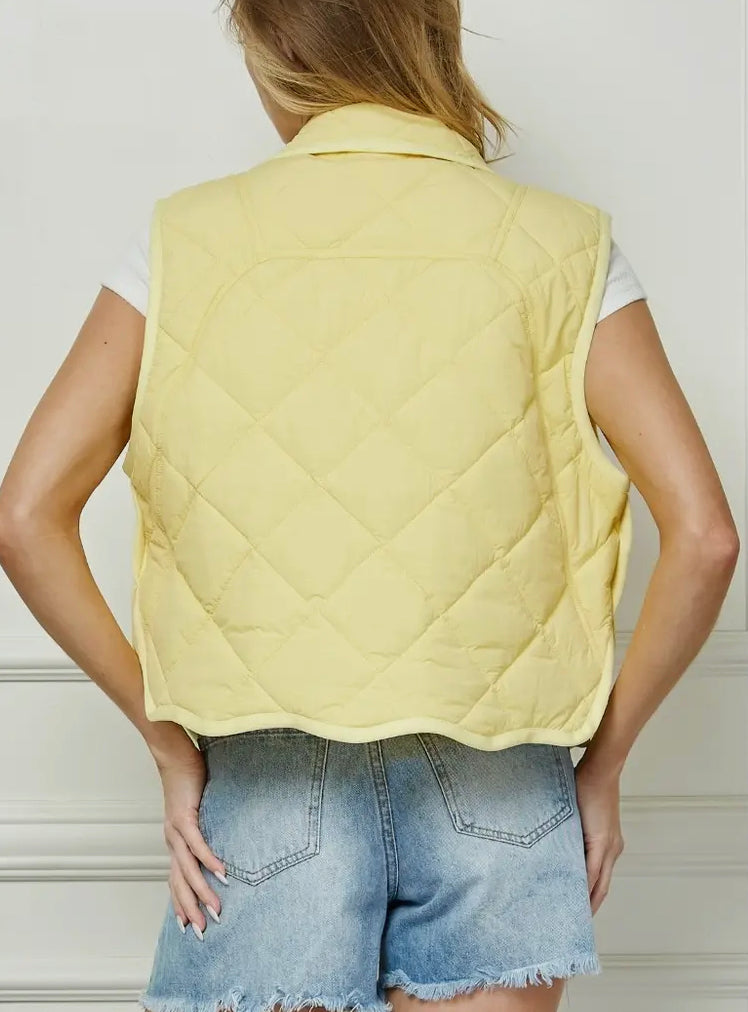 Color Me Crazy Quilted Vest