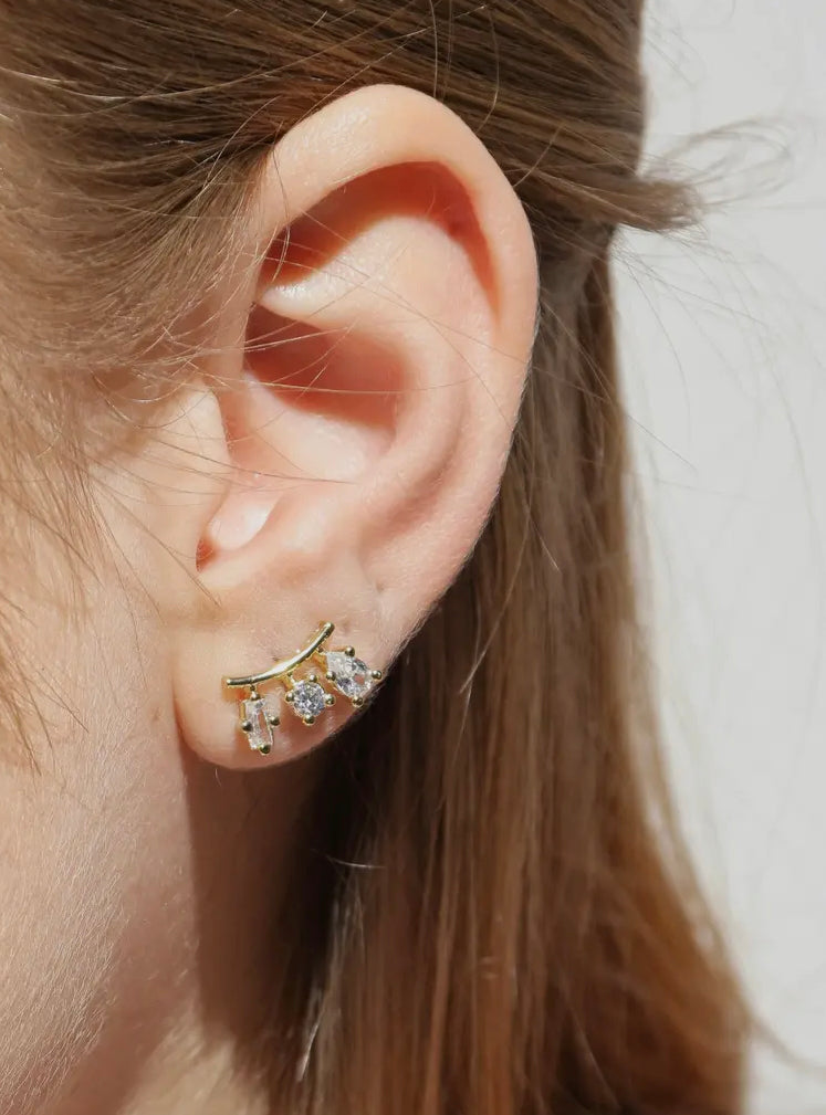Verbena 18k Gold Filled Earrings